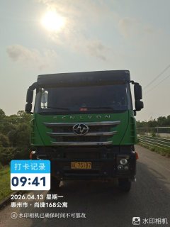 SAIC Hongyan Genlyon 350 hp 8X4 8.8 m - фото 4
