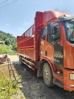 FAW Jiefang J6L 220 hp 4X2 6.8 m - фото 1