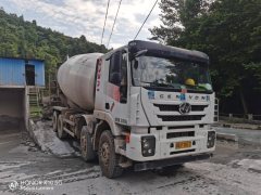 SAIC Hongyan Genlyon 320 hp 8X4 - фото 2