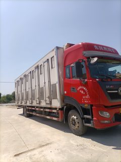 Dongfeng Tianjin KR 290 hp 4X2 - фото 3