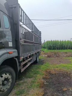 Sinotruk HOWO V5-X 220 hp 4X2 6.8 m - фото 5