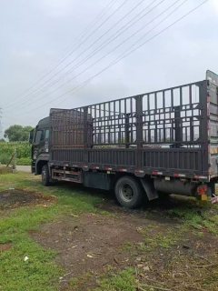 Sinotruk HOWO V5-X 220 hp 4X2 6.8 m - фото 8