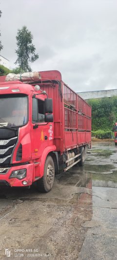 JAC Gallop GAC Higer K5 180 hp 4X2 6.8 m - фото 3