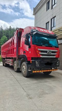 SAIC Hongyan Genlyon 560 hp 8X4 8.8 m - фото 3