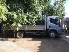 Dongfeng Duolika Dollicar D6 155 hp 4X2 4.2 m - фото 3