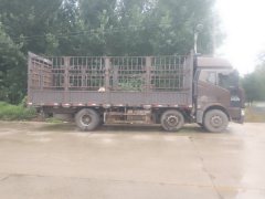 FAW Jiefang J6M 280 hp 6X2 7.7 m - фото 1