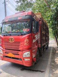 FAW Jiefang JH6 420 hp 8X4 9.6 m - фото 1