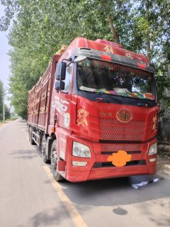 FAW Jiefang JH6 420 hp 8X4 9.6 m - фото 3
