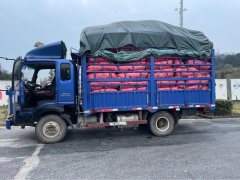 SINOTRUK HOWO Light Duty Truck Royal Faction 130 hp 4X2 4.2 m - фото 3