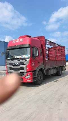 JAC Gallop Gelfa A5 260 hp 8X2 6.8 m - фото 1
