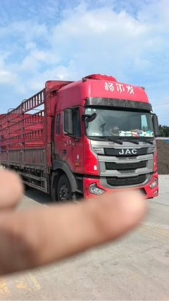 JAC Gallop Gelfa A5 260 hp 8X2 6.8 m - фото 2