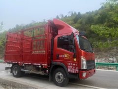 SINOTRUK HOWO Light Duty Truck Royal Faction 160 hp 4X2 4.15 m - фото 3