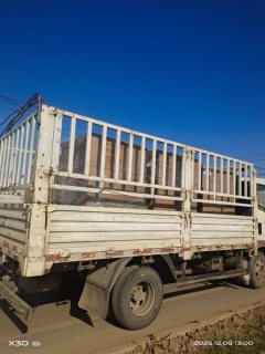 SINOTRUK HOWO Light Duty Truck Commander 129 hp 4X2 4.17 m - фото 3