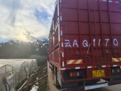 Dongfeng Liuzhou Chenglong M3 220 hp 4X2 5.8 m - фото 4