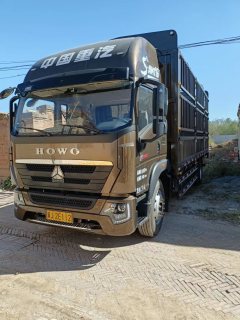 SINOTRUK HOWO Light Duty Truck G5X 220 hp 4X2 6.75 m - фото 1