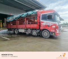 SANY 430 hp 8X4 9.6 m - фото 3