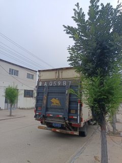 Feidie Aochi A-Series 143 hp 4X2 4.17 m - фото 4