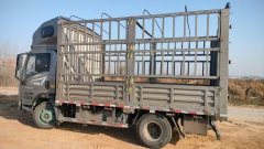 SINOTRUK HOWO Light Duty Truck Hanjiang 180 hp 4X2 4.15 m - фото 2
