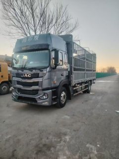 JAC Gallop Gelfa A5 260 hp 4X2 6.8 m - фото 1