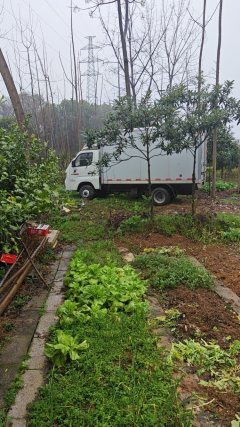 Foton M2 112 hp 4X2 3 m - фото 1