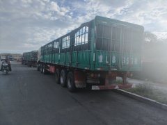 Shacman Delong New M3000 430 hp 6X4 - фото 10