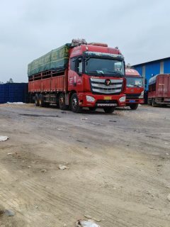 Foton Auman EST 430 hp 8X4 9.53 m - фото 2