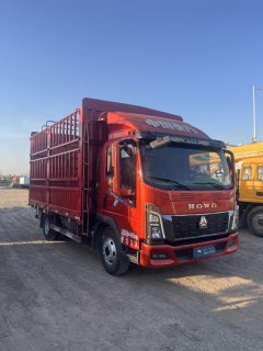 SINOTRUK HOWO Light Duty Truck Commander 145 hp 4X2 4.2 m - фото 2