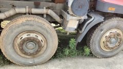 Sinotruk Steyr D5 300 hp 8X4 6 m - фото 3