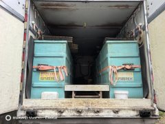 Foton Aumark S3 170 hp 4X2 5.25 m - фото 5