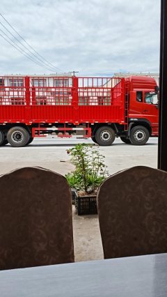 Dongfeng Tianlong VL 465 hp 8X4 9.6 m - фото 3