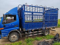 JAC Junling Jianghuai V5 115 hp 4X2 4.15 m - фото 1