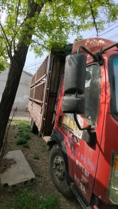 Sinotruk Wangpai 7 116 hp 4X2 4.16 m - фото 5
