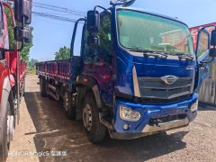 Foton Rowor ES7 270 hp 8X2 8 m - фото 1