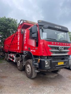 SAIC Hongyan Genlyon 450 hp 8X4 8.3 m - фото 1