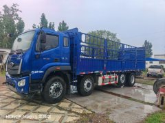 Foton Rowor ES7 270 hp 8X2 8 m - фото 2