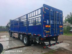 Foton Rowor ES7 270 hp 8X2 8 m - фото 3
