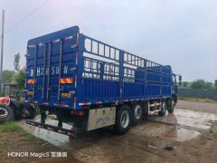 Foton Rowor ES7 270 hp 8X2 8 m - фото 4