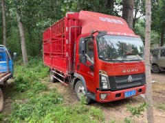 SINOTRUK HOWO Light Duty Truck PRO 155 hp 4X2 4.15 m - фото 3
