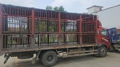 Foton Ollin CTS 190 hp 4X2 6.2 m - фото 1