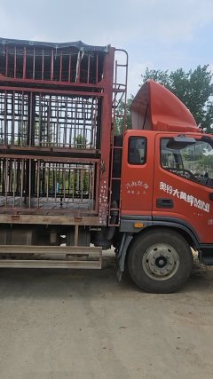 Foton Ollin CTS 190 hp 4X2 6.2 m - фото 2