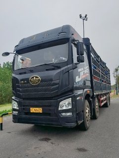 FAW Jiefang JH6 460 hp 8X4 9.5 m - фото 3