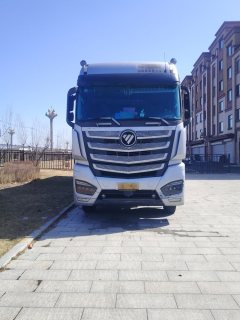 Foton Auman EST 460 hp 8X4 9.6 m - фото 2