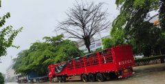 FAW Jiefang JH6 460 hp 6X4 - фото 4