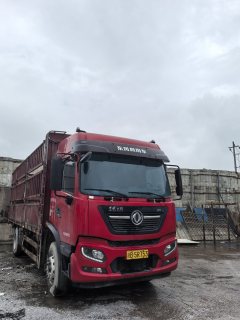 Dongfeng Tianjin KR 245 hp 4X2 6.8 m - фото 3