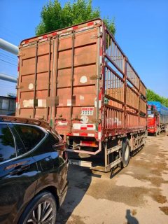 Dongfeng Liuzhou Chenglong H5 220 hp 4X2 6.8 m - фото 2