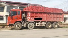 Dongfeng Tianjin 310 hp 8X4 6.8 m - фото 1