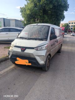 Lingshi EV50 2.52 m - фото 2