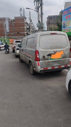 Lingshi EV50 2.52 m - фото 3