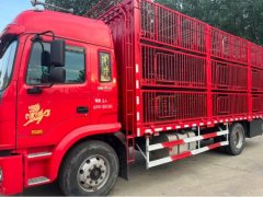 JAC Gallop Gelfa A5 220 hp 4X2 6.8 m - фото 2