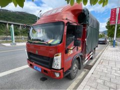 SINOTRUK HOWO Light Duty Truck Royal Faction 160 hp 4X2 3.85 m - фото 1